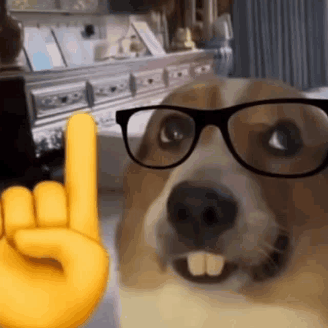 Professor Doggo explaining pet wellness