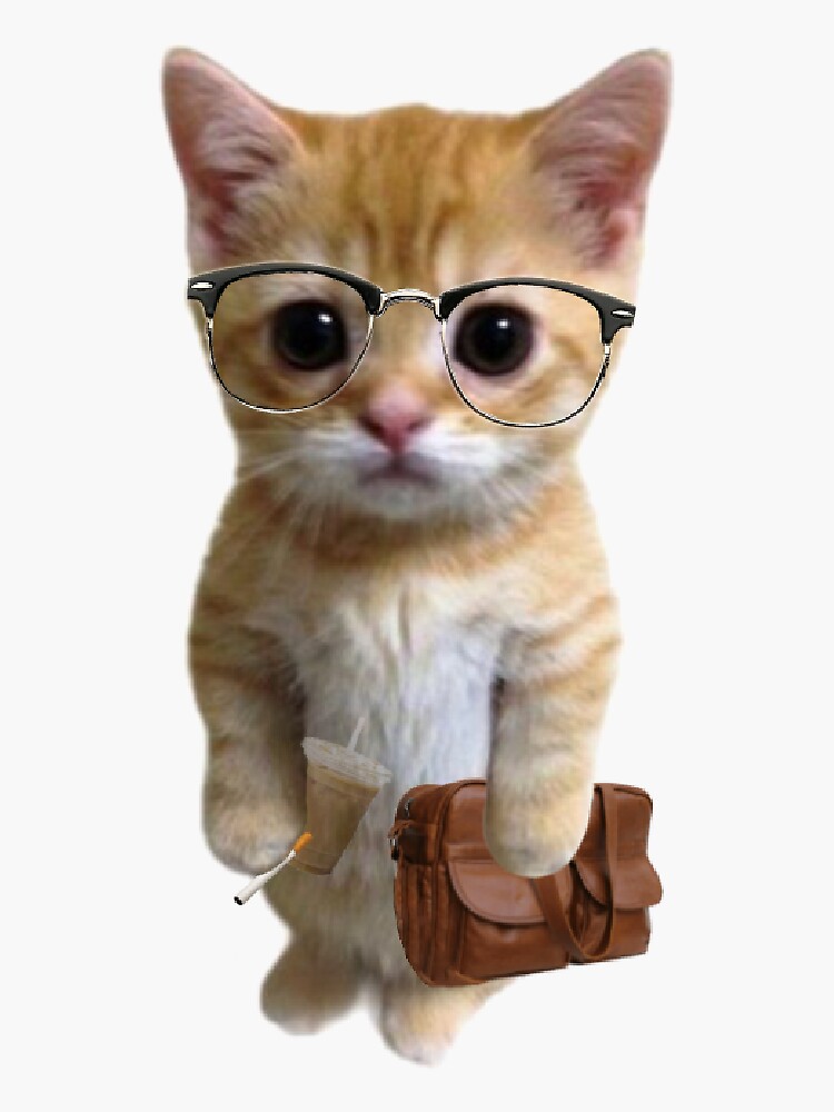Professor Catto, MBA